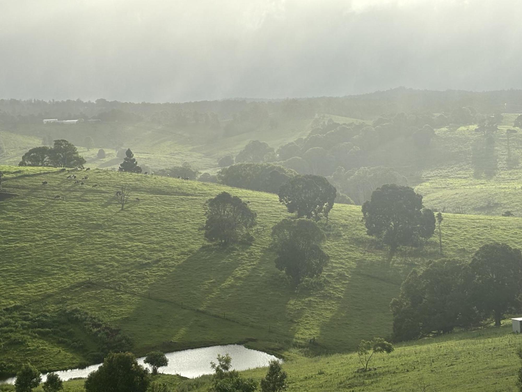 Ten Acres Beechmont Ngoại thất bức ảnh