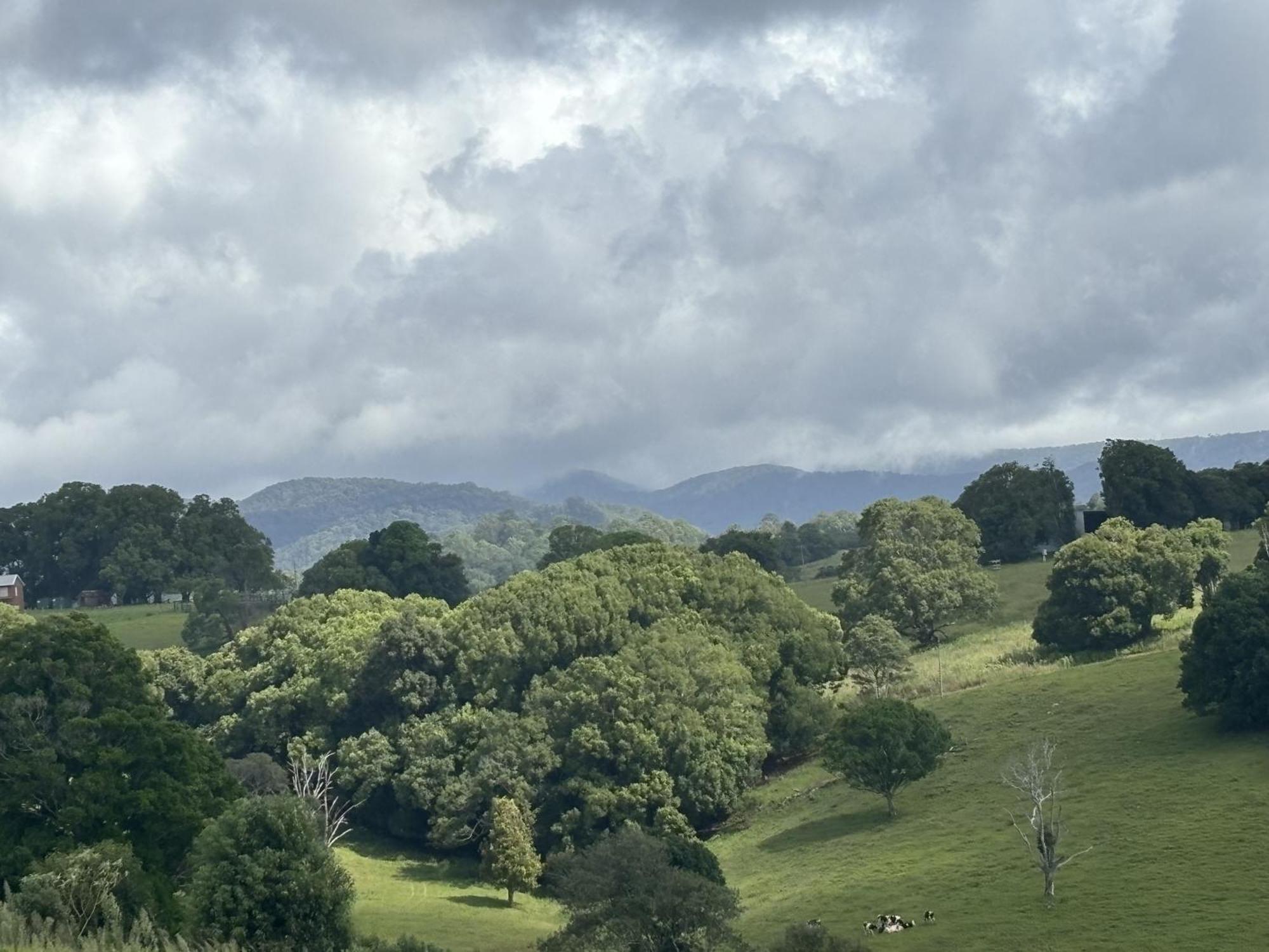 Ten Acres Beechmont Ngoại thất bức ảnh